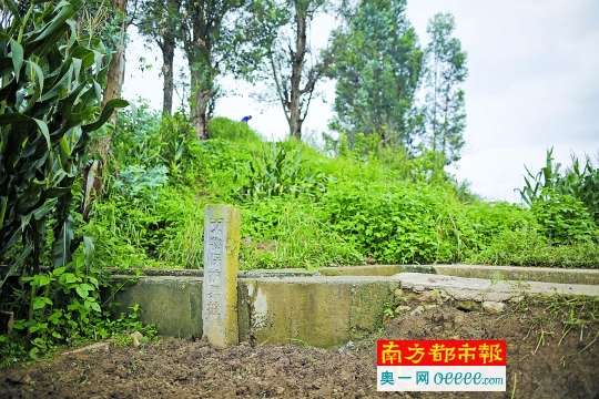 滇缅公路：中国抗战不可或缺的“输血线”